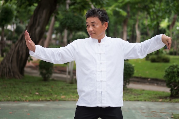 Oude man beoefenen van kungfu of tai chi in het park gezonde levensstijl meditatie oefening concept
