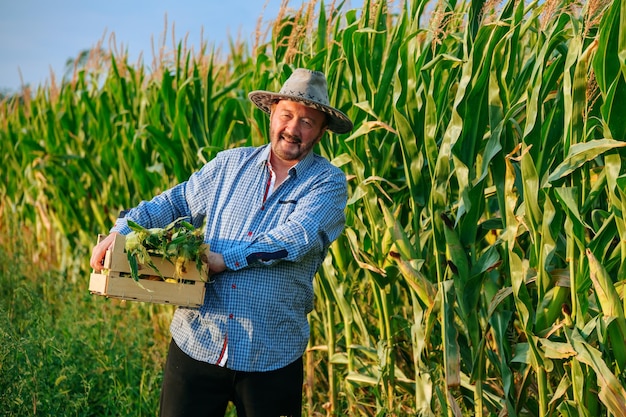Oude man boer draagt doos met oogst van rijpe maïs in handen man glimlacht kijken naar de camera front view Er is geluk op het gezicht van de oudere arbeider het is moeilijk en vreugdevol voor hem Kopieer ruimte