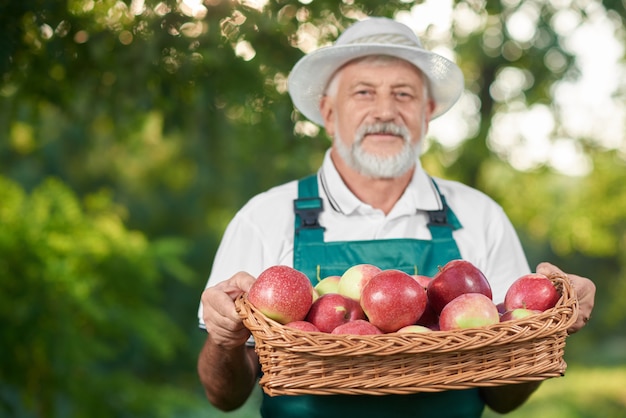 Oude man in de mand van de boerenhoed met appels.