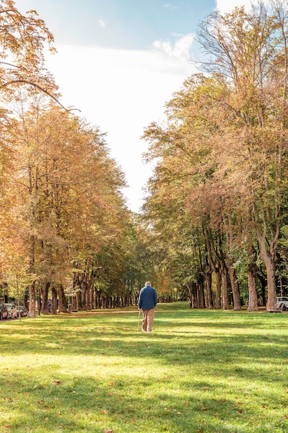 Foto oude man lopen in een park met bomen