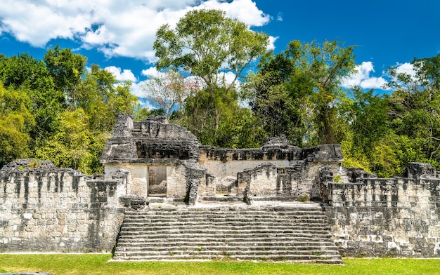 Oude Maya-ruïnes in Tikal. UNESCO-werelderfgoed in Guatemala