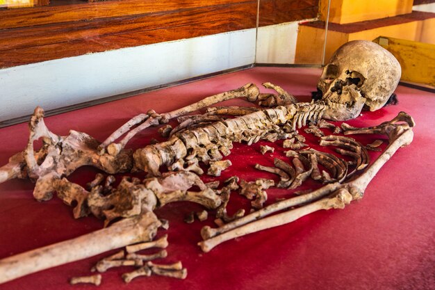 Oude menselijke skeletten gevonden in Thailand.