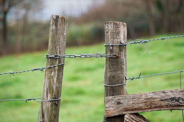 oude metalen prikkeldraad afrastering in de weide