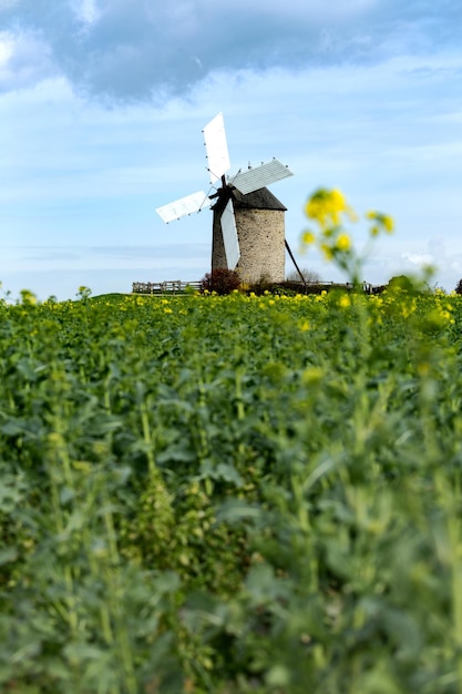 Foto oude molen op een heuvel