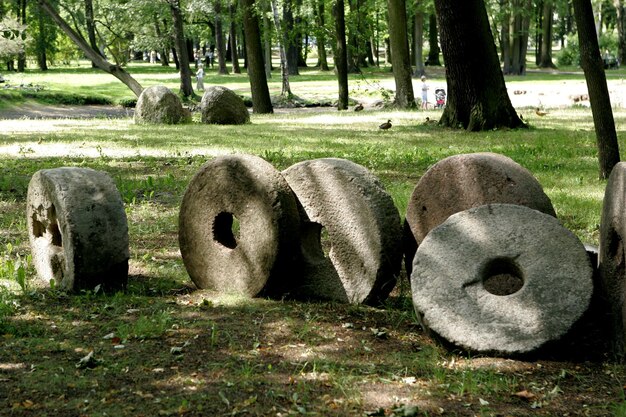 Oude molen ronde stenen op landschappen