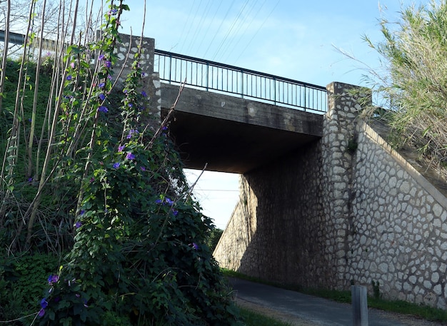 Oude mooie stenen brug over de weg, verstrengeld met klimop en ochtendglorie met blauwe bloemen,