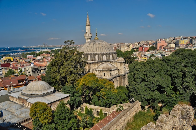 Oude moskee in Istanbul op zonnige zomerdag