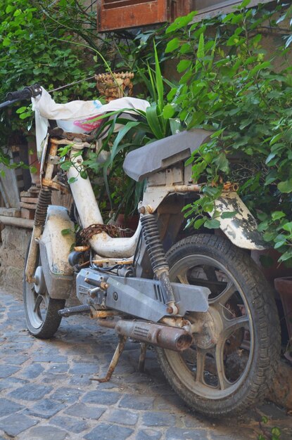 Foto oude motorfiets op voetpad tegen planten