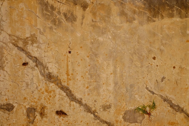 Oude muur textuur achtergrond grunge cement achtergrond