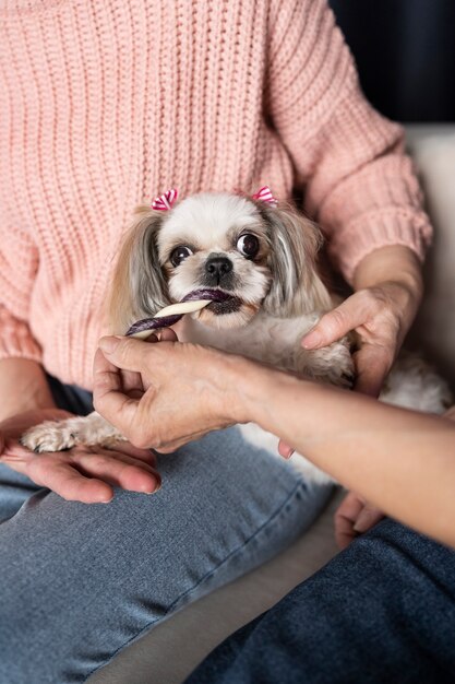 Foto oude persoon met hun hond