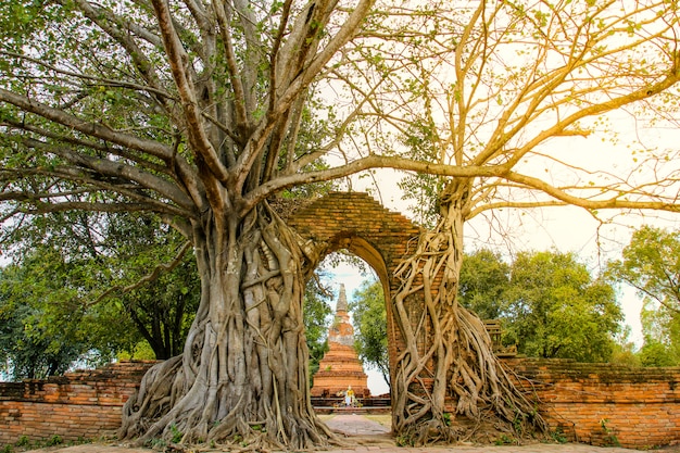 Oude poort bij Wat Phra Ngam Temple, Ayutthaya, Thailand.