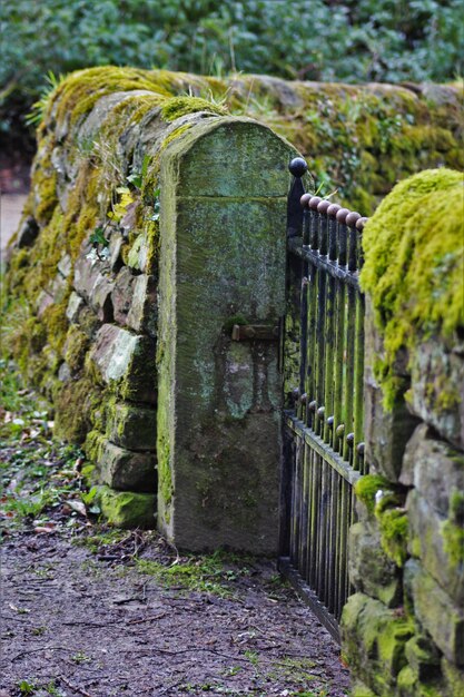 Foto oude poort ingang bedekt met mos