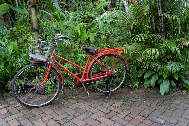 Oude rode fiets in tuin