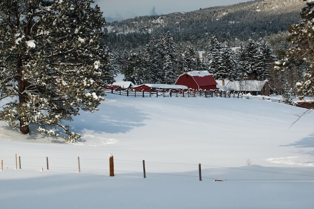 Oude rode schuur na sneeuwstorm in Evergreen, Colorado.