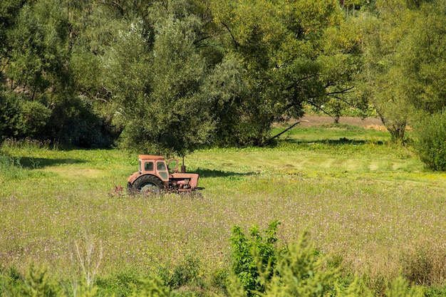 Oude rode tractor die in een weide hooit