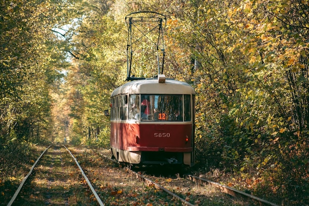 Oude rode tram in het de herfstbos