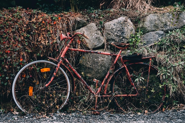 Oude roestige fiets tegen de muur gegooid.