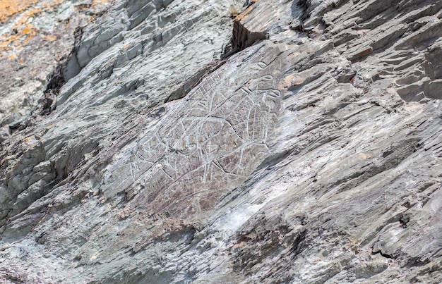 Oude rotstekeningen van een oude man op rotsen in Siberië. De tekeningen tonen dieren en mensen