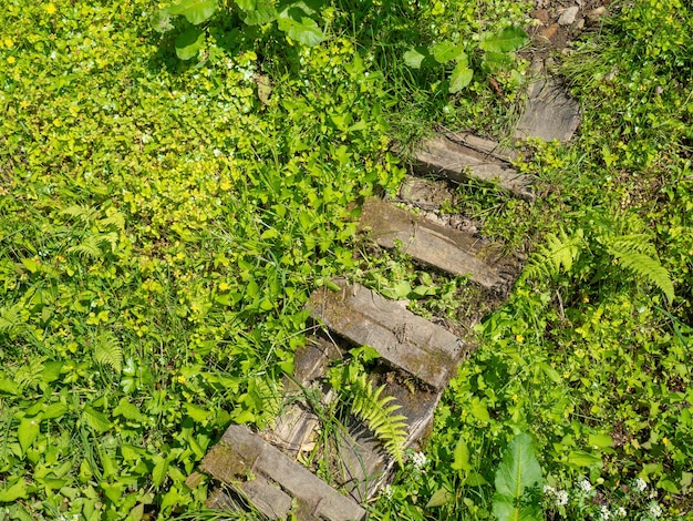 Oude rotte houten trap in het gras Gebroken dingen