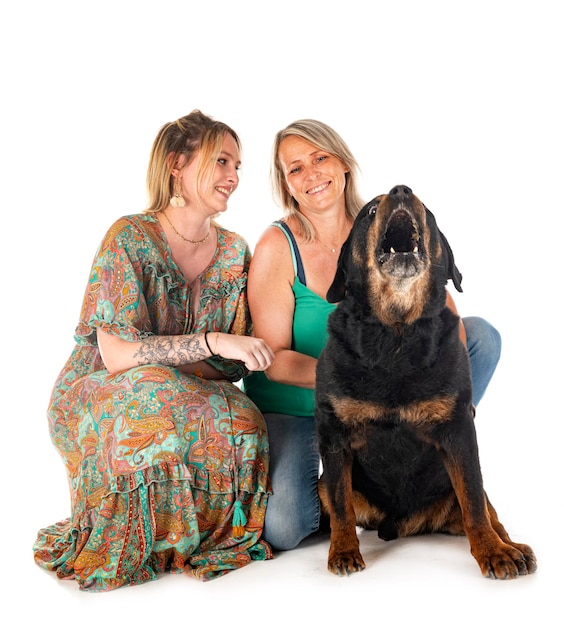 Oude rottweiler en eigenaren in studio