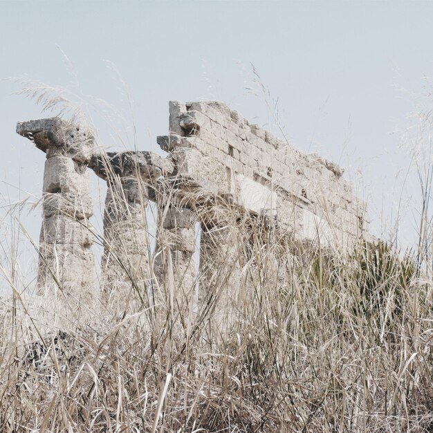 Foto oude ruïnes gezien door het gras tegen de lucht
