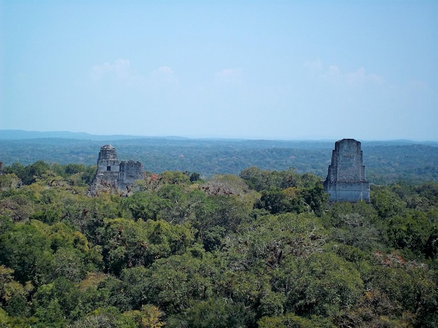 Oude ruïnes in Tikal, Guatemala