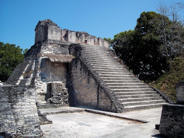 Oude ruïnes in Tikal, Guatemala