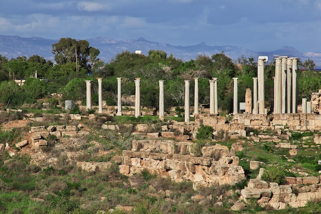 Oude ruïnes Salamis, Noord-Cyprus