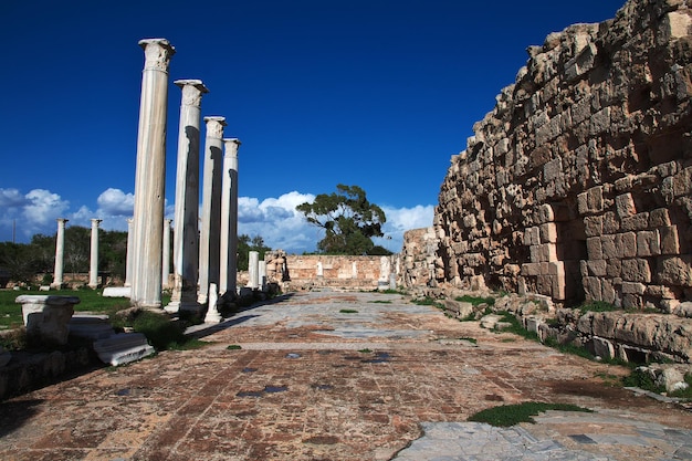 Oude ruïnes salamis, noord-cyprus