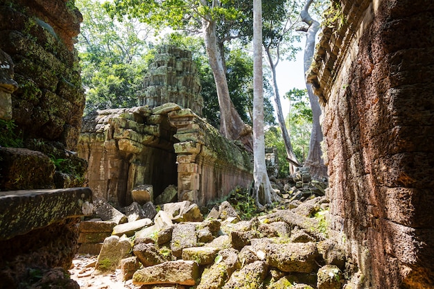 Oude ruïnes van de Khmer-beschaving van Angkor in de buurt van Siem Reap, Cambodja