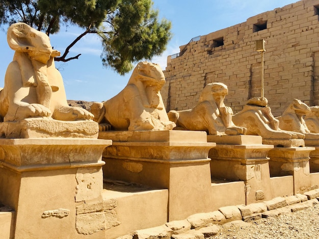 Oude ruïnes van de tempel van Karnak