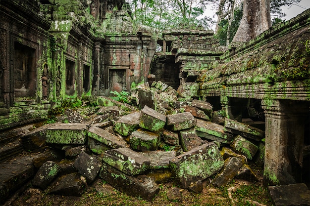 Oude ruïnes van de tempel van Ta Prohm, Angkor, Cambodja