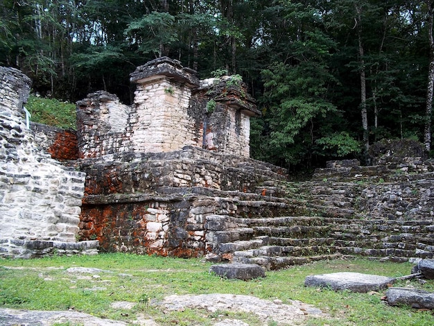 Oude ruïnes van Maya Bonampak Mexico