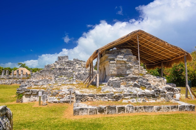 Oude ruïnes van Maya in de archeologische zone van El Rey in de buurt van Cancun Yukatan Mexico