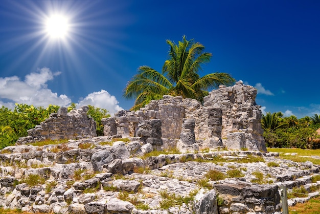 Oude ruïnes van Maya in de archeologische zone van El Rey in de buurt van Cancun Yukatan Mexico