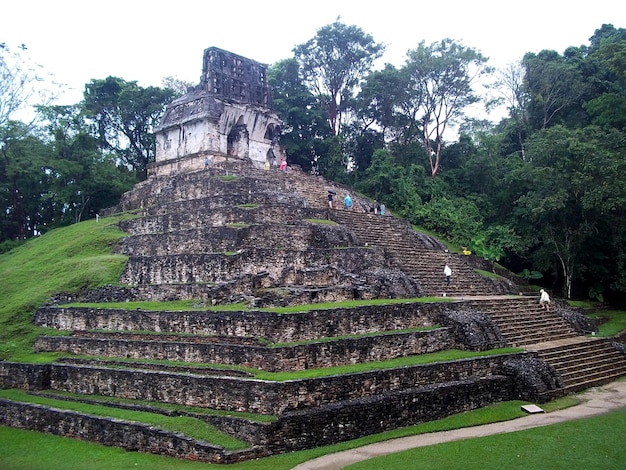 Oude ruïnes van Maya Palenque Mexico