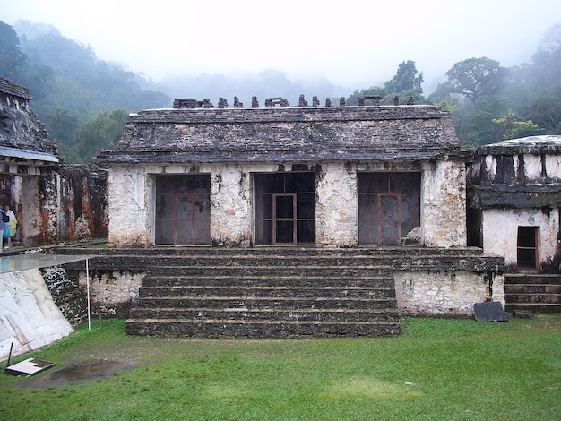 Oude ruïnes van Maya Palenque Mexico