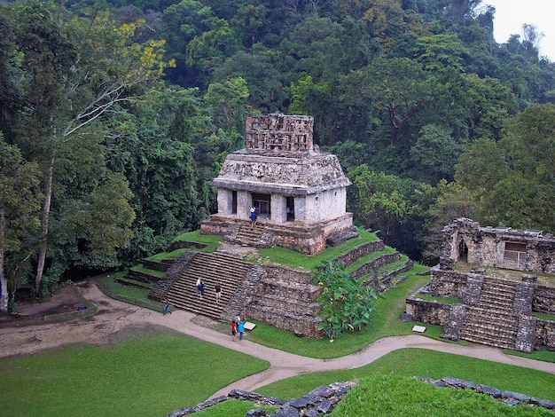 Oude ruïnes van Maya Palenque Mexico