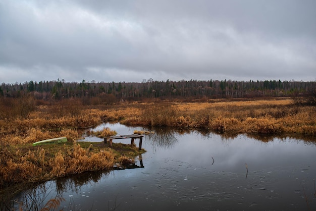 Oude rustieke houten steiger op een rustig meer met wilde grassen op de oever en reflecties op de wate