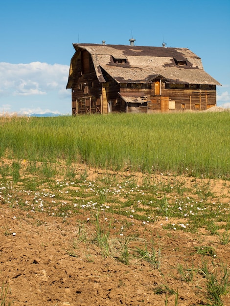 Oude schuur op verlaten boerderij in Colorado.