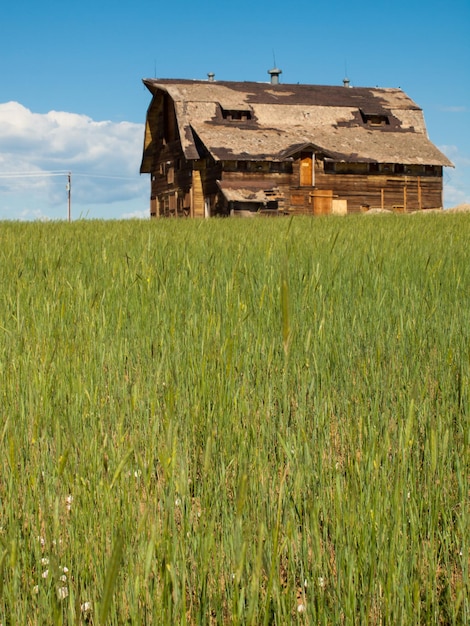 Oude schuur op verlaten boerderij in Colorado.