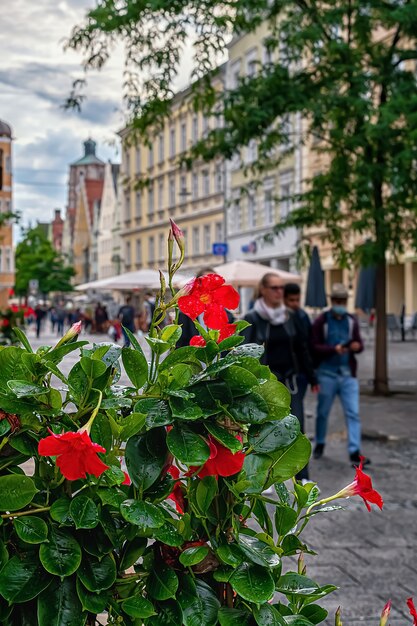 oude stad in de Duitse stad ingolstadt