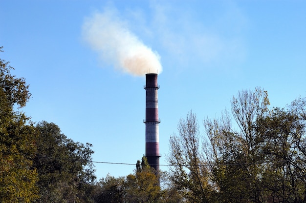 Oude steenfabriek rookpijp tussen bomen