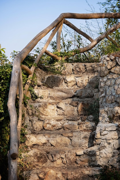 Oude stenen trap begroeid met planten Close-up van oude stenen trap