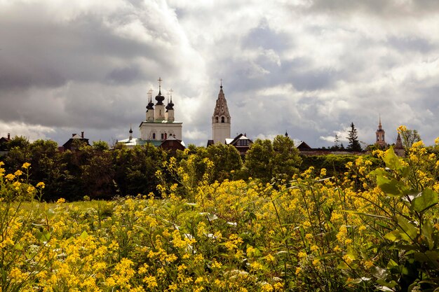 Oude tempels en kloosters van de stad Suzdal