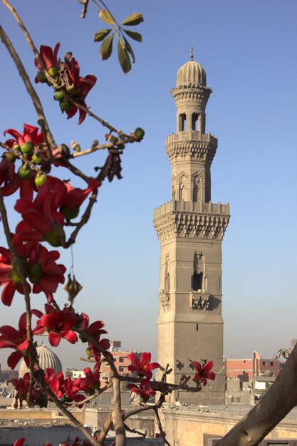 Foto oude toren achter bloeiende tak