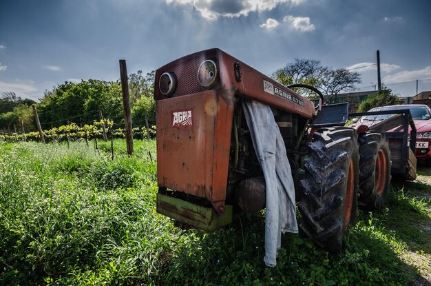 Oude tractor in wijngaard