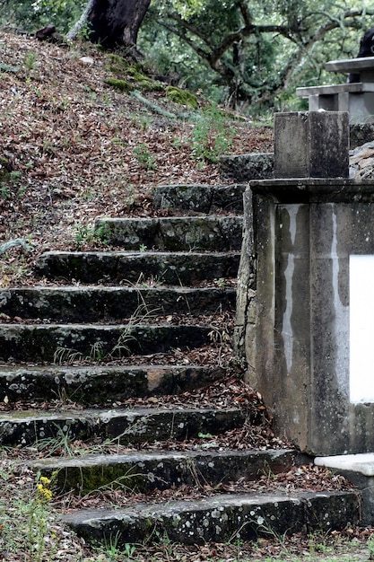 Oude trap op een park dat een mengeling creëert tussen de natuurlijke en de geciviliseerde menselijke wereld.