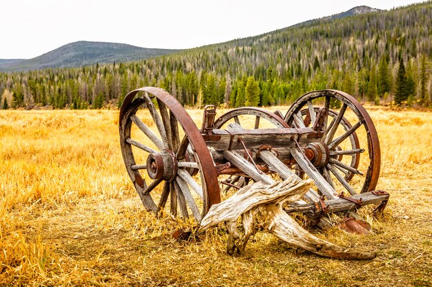 Oude, vintage houten wagen verlaten en gebroken op een gouden weide in Colorado