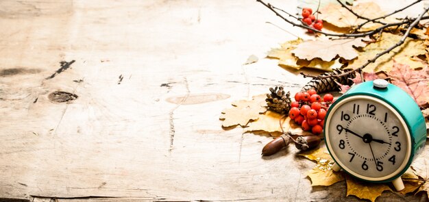 Oude wekker met herfstbladeren, kegels en bessen van lijsterbes. Op houten achtergrond.